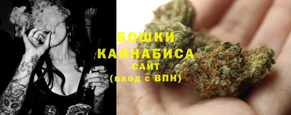 PSILOCYBIN Бугульма