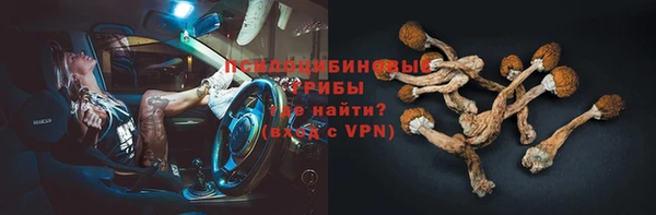 2c-b Бородино