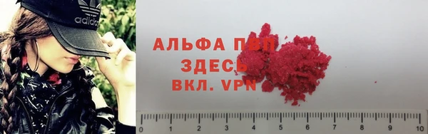 2c-b Бородино
