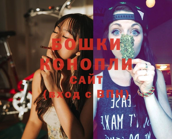 2c-b Бородино