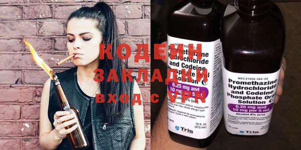 2c-b Бородино