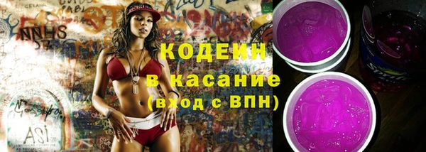 2c-b Бородино