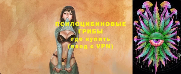2c-b Бородино