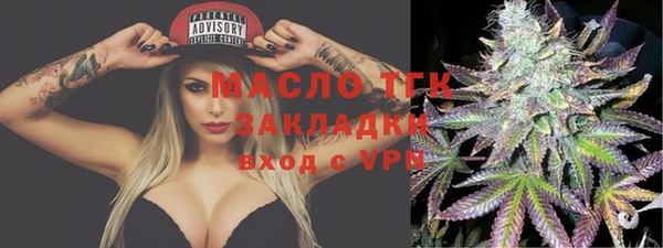 2c-b Бородино