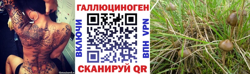 Галлюциногенные грибы мухоморы  где найти наркотики  Среднеуральск 