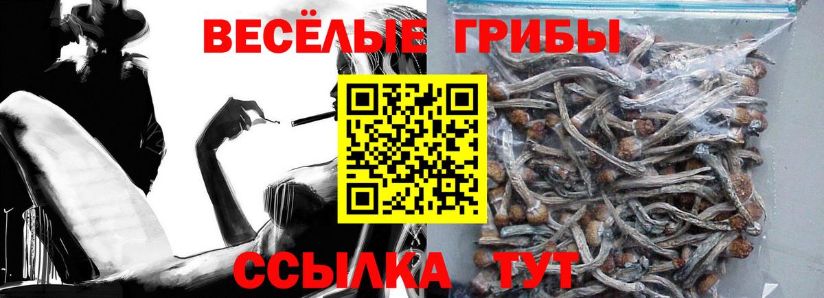 Псилоцибиновые грибы Magic Shrooms Среднеуральск