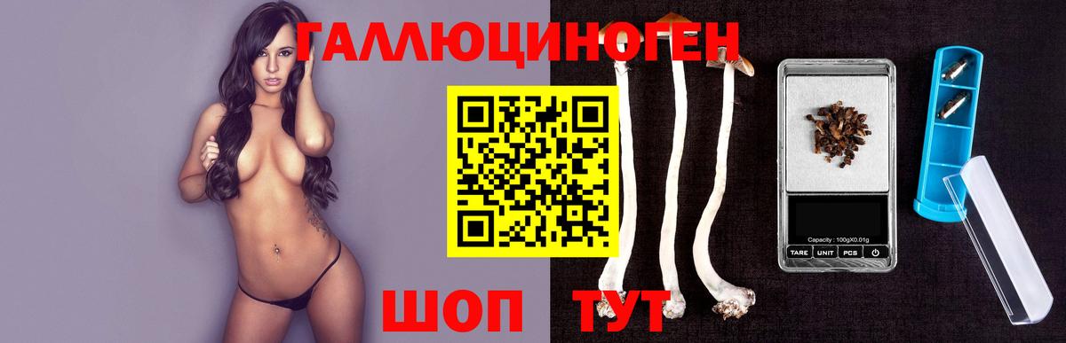 Галлюциногенные грибы ЛСД  Вход с VPN  Среднеуральск  Псилоцибиновые грибы прущие грибы 